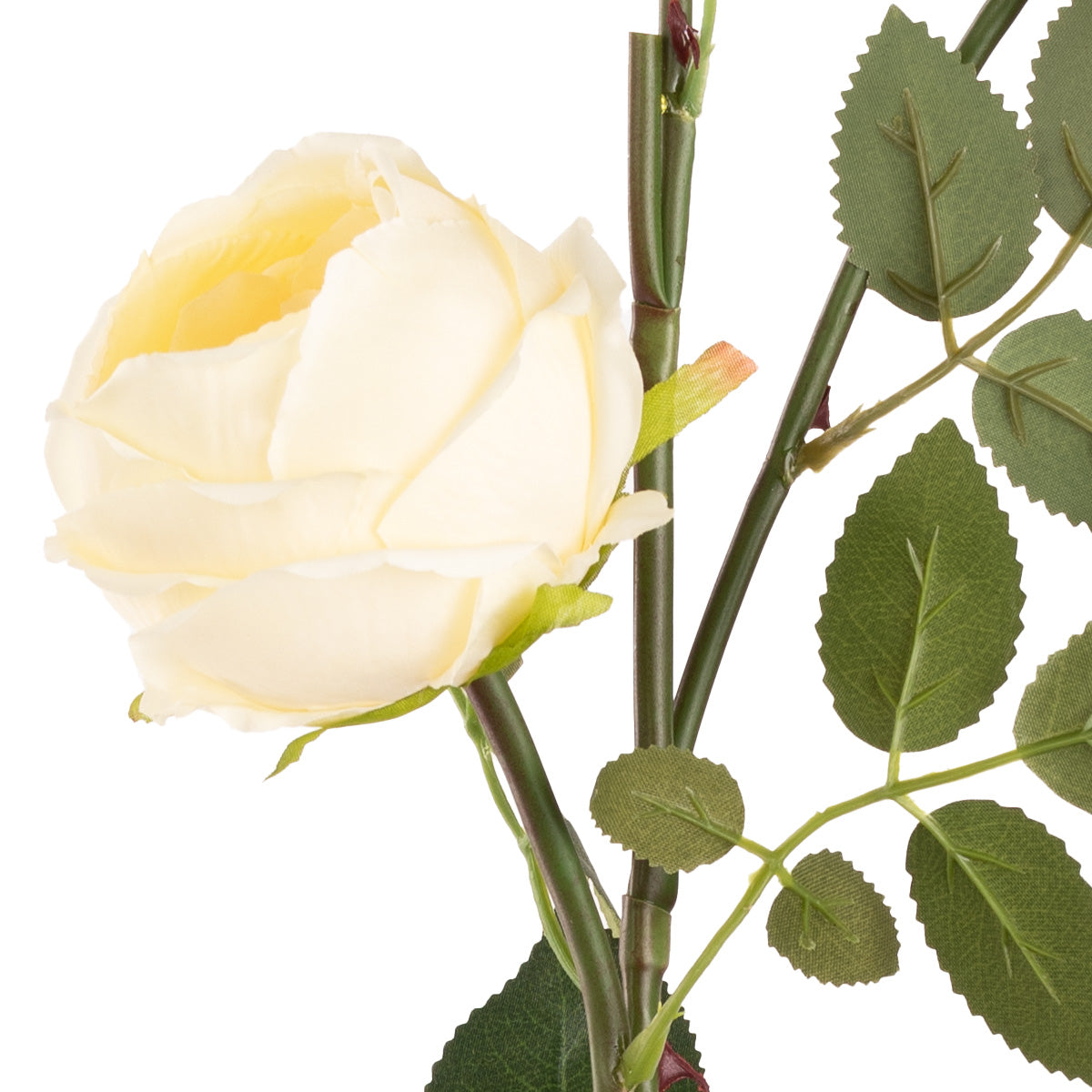 Elizabeth Garden Rose Spray x 3 Wheat image 2