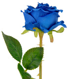 Gabriella Single Rose Royal Blue 53cm image 1