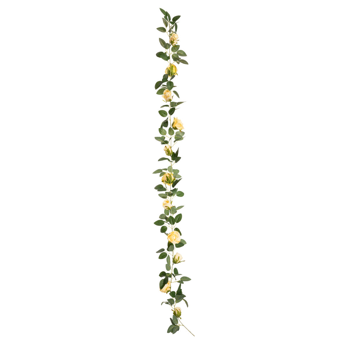 Alice Rose Garland x 11 Heads Champagne image 1