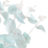 Eucalyptus Bush x 16 Blue image 1