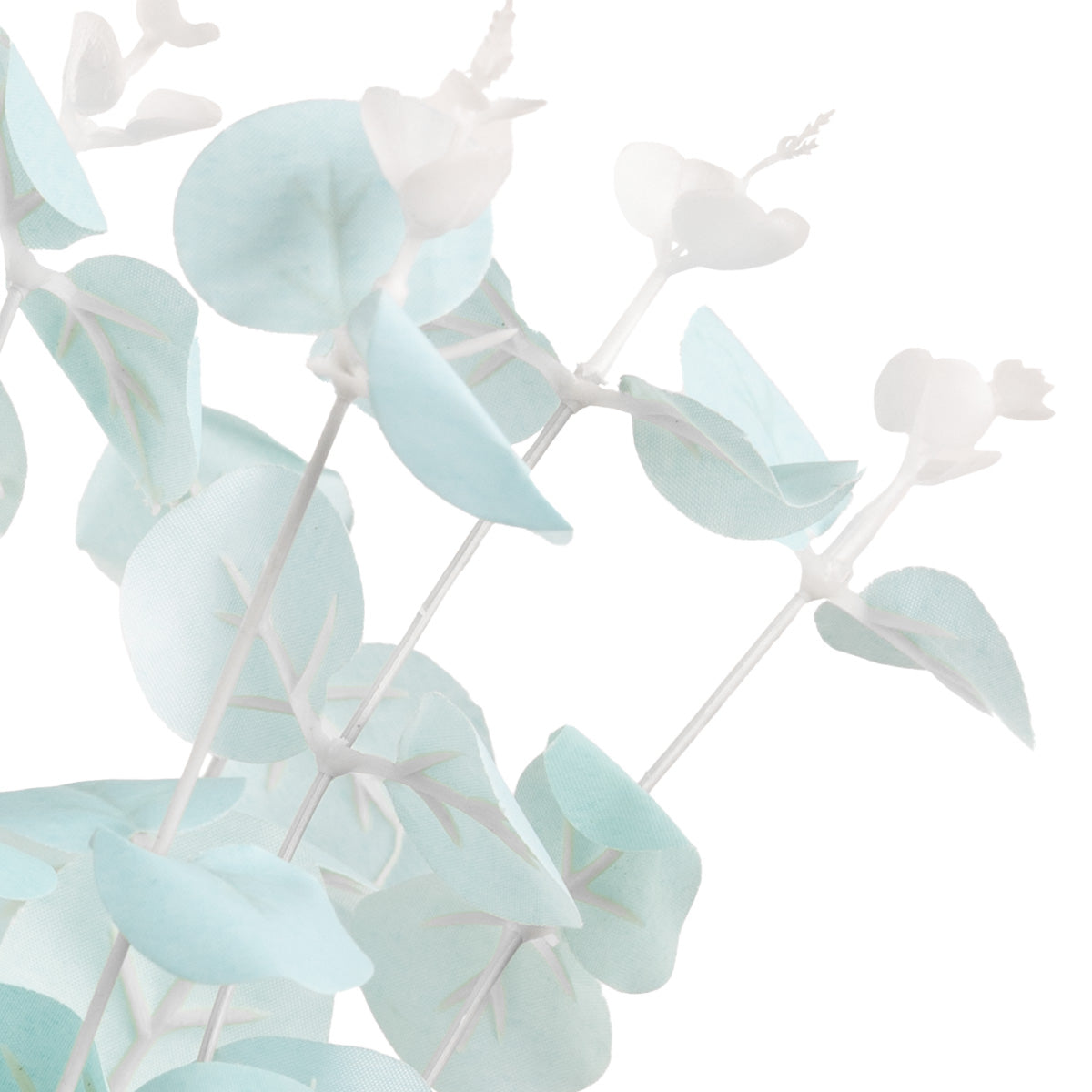 Eucalyptus Bush x 16 Blue image 1