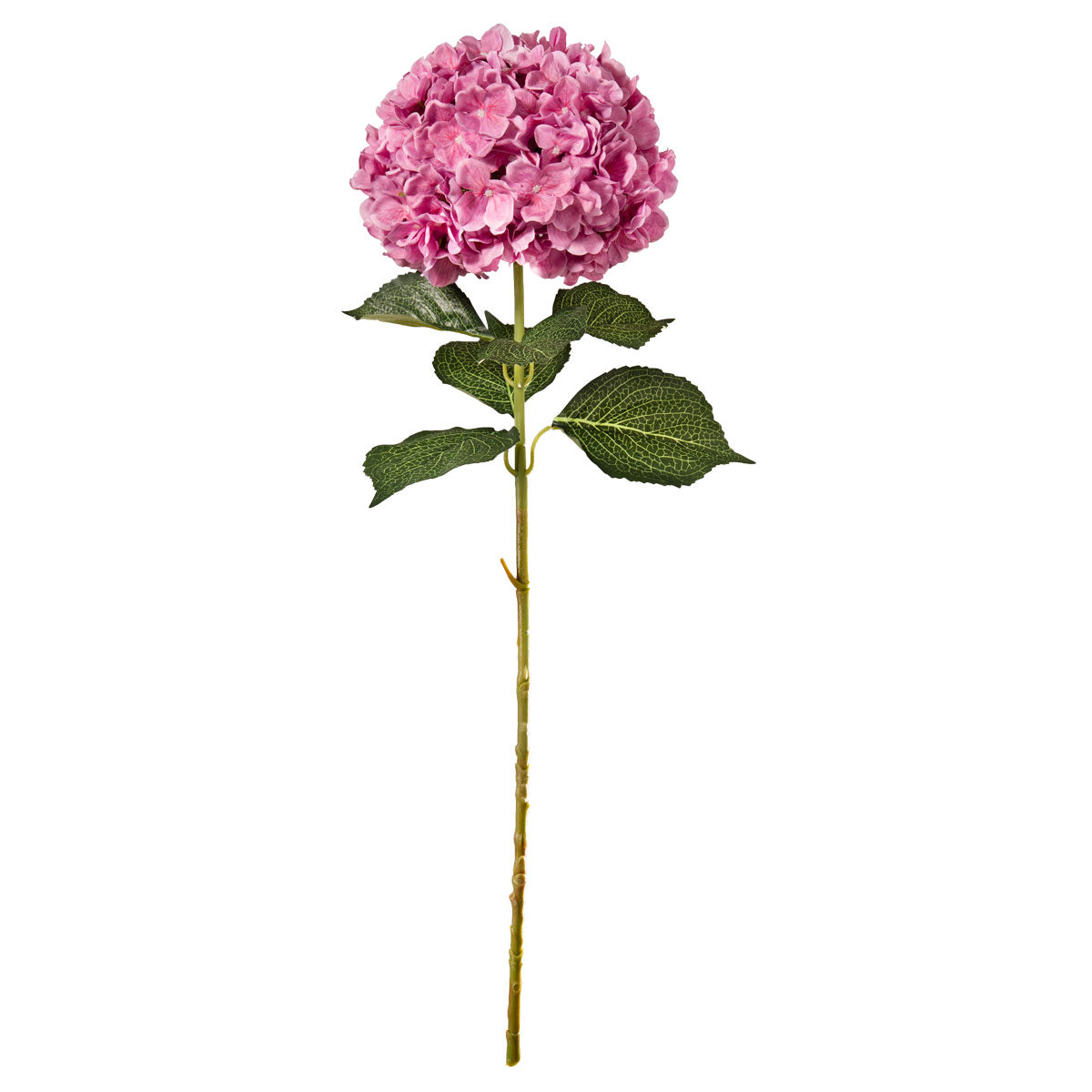 Large Head Hydrangea Cerise 92cm image 0