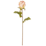 Dry Image Rose Rose Quartz image 0