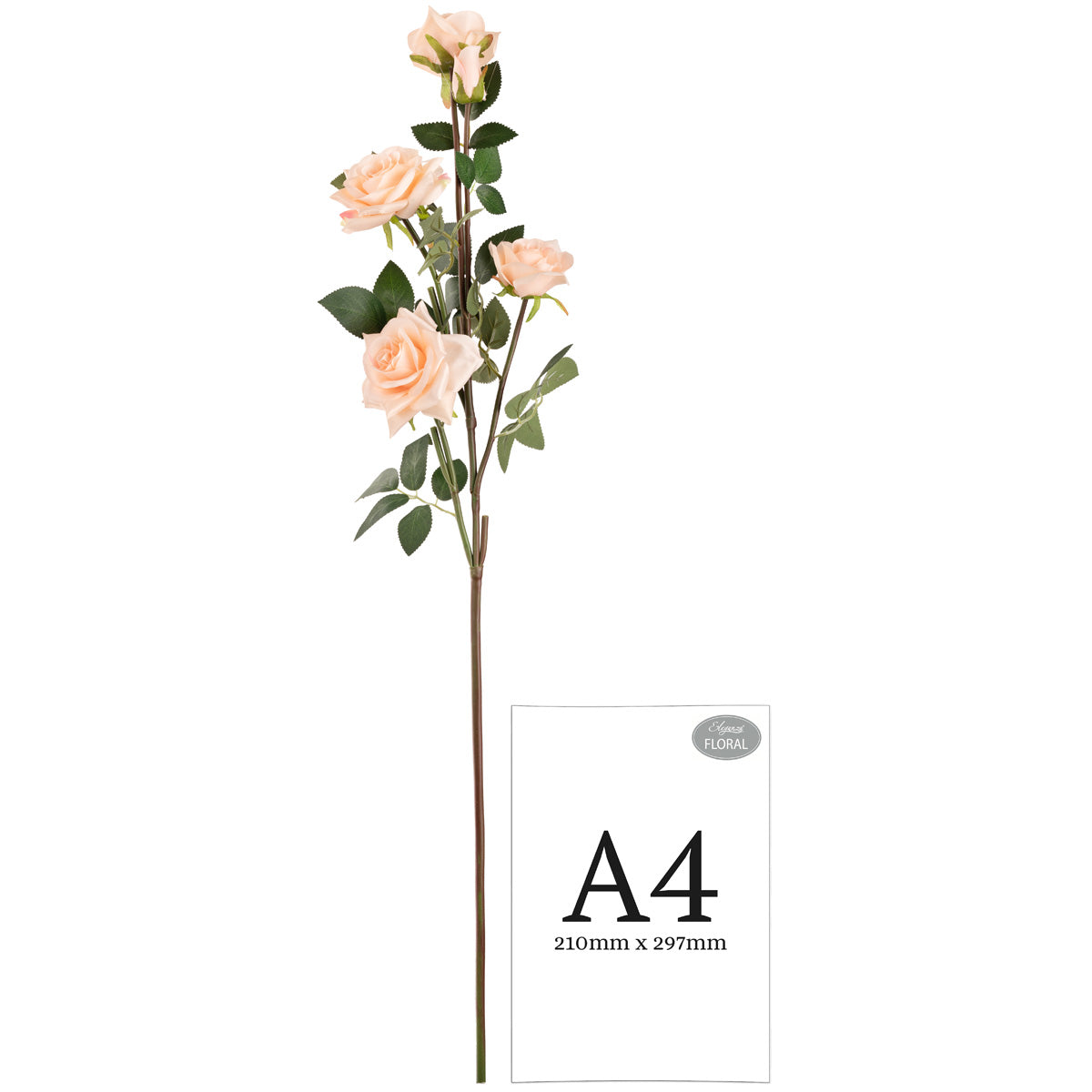 Large Diana Rose Spray x 5 Champagne image 2