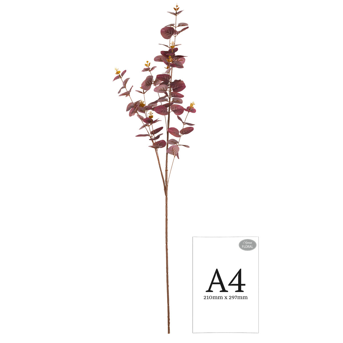 Eucalyptus Stem Burgundy image 1