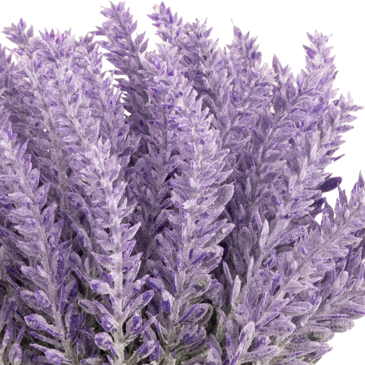 Lavender Bunch x 10 image 2