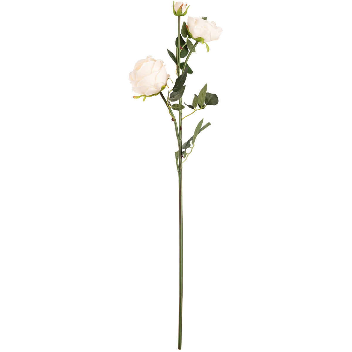 Elizabeth Garden Rose Spray x 3 Cream image 0