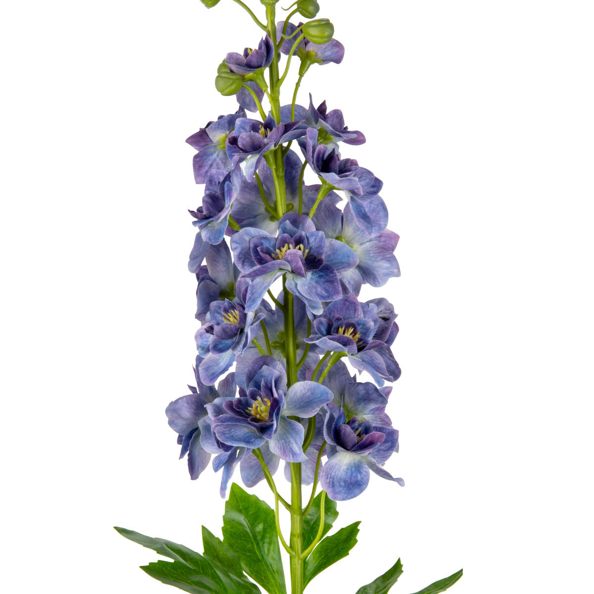 Delphinium Stem Purple/Blue image 1