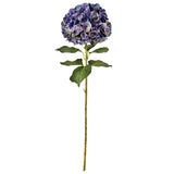 Large Head Hydrangea Purple Green image 0
