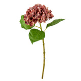 Small Head Hydrangea Vintage Rose image 2