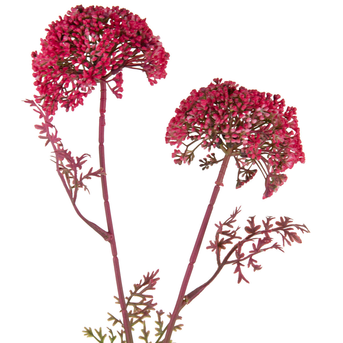 Wild Meadow Spray x 2 Rose Red image 1