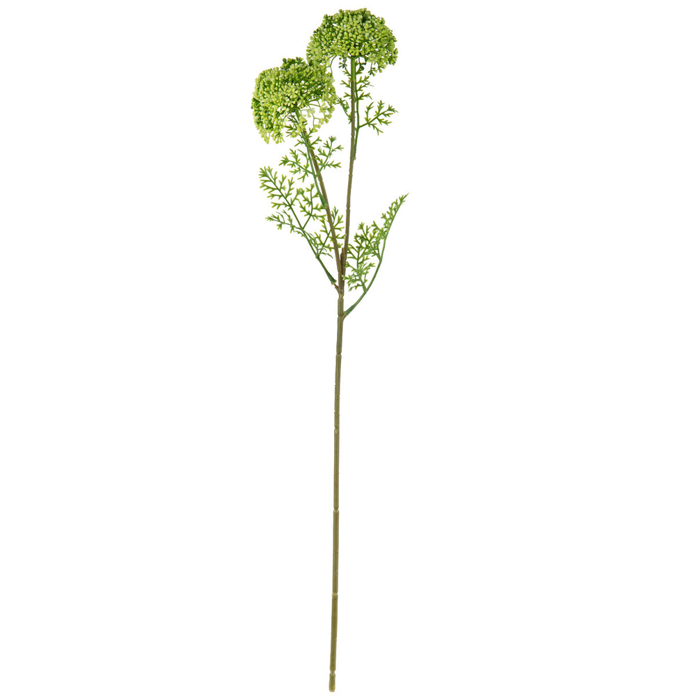Wild Meadow Spray x 2 Green image 0