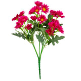 Daisy Bush Cerise image 0