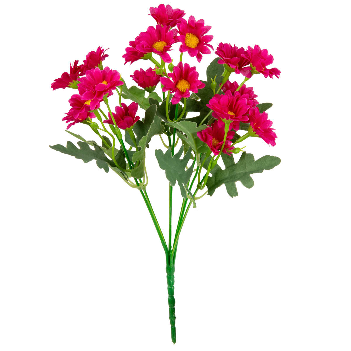 Daisy Bush Cerise image 0