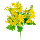 Mixed Daisy Bush Yellow image 1