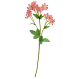 Astrantia Spray 61cm Pink image 2