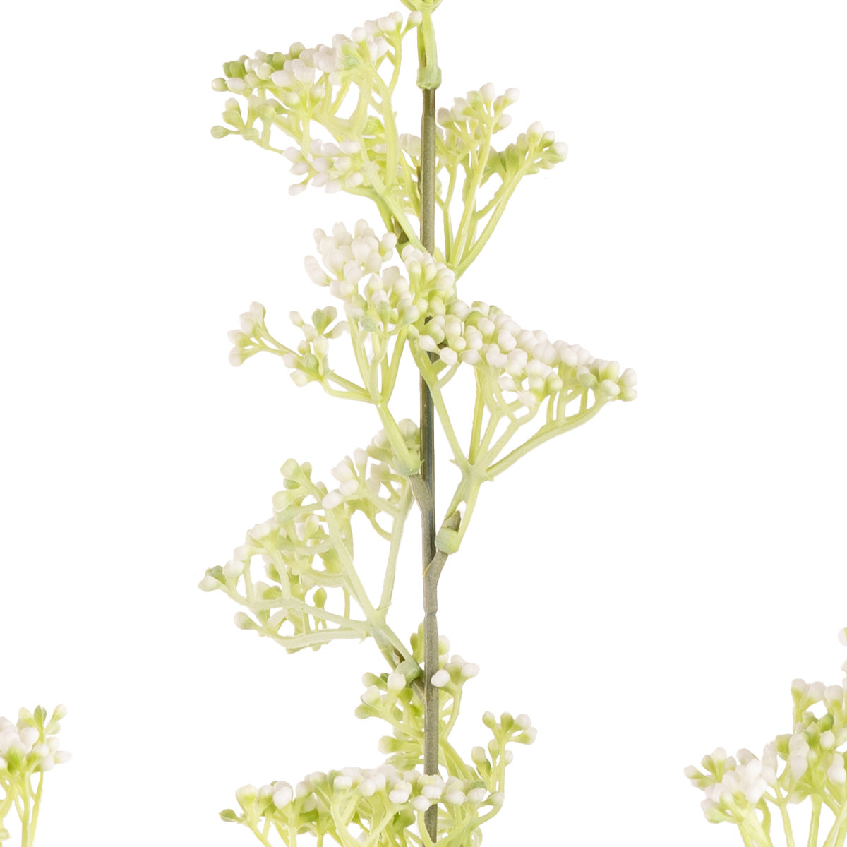 Mini Gyp Stem White image 1