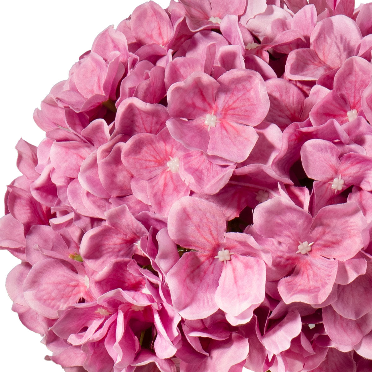 Large Head Hydrangea Cerise 92cm image 2