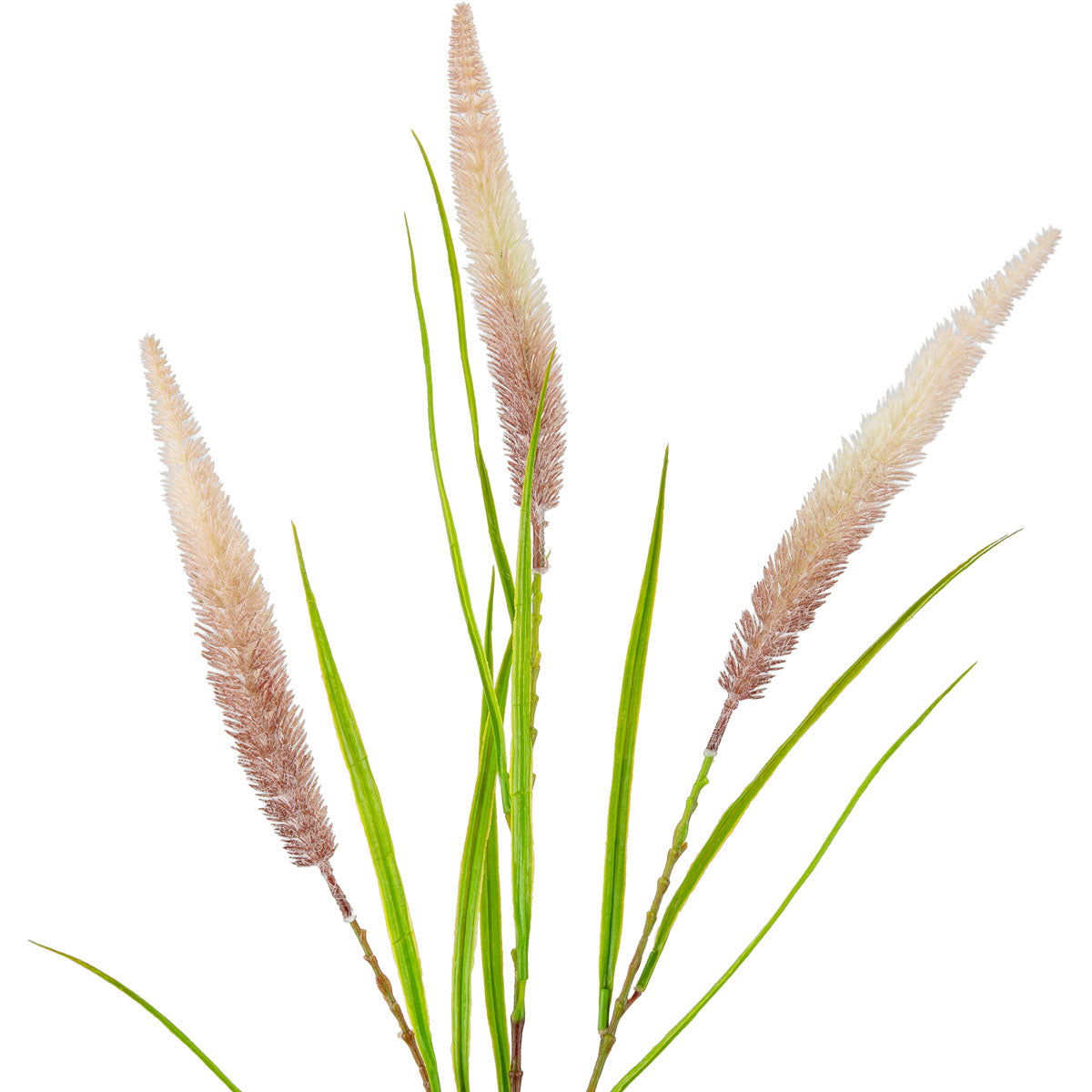 100cm Reed Spray Pink Purple image 1