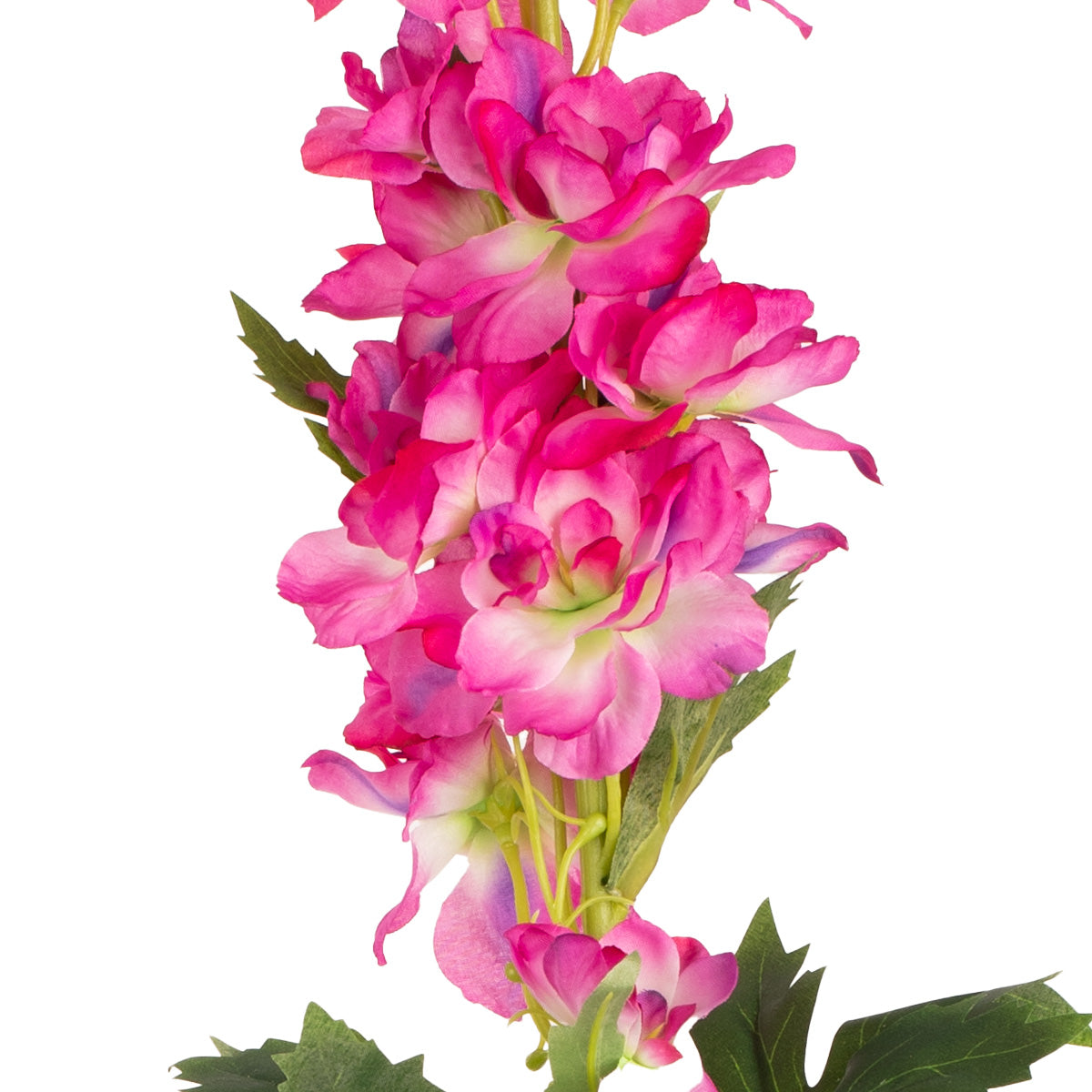 Delphinium x 26 Heads 106cm Beauty image 2