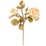 Dry Image Rose Spray Almond Cream image 1