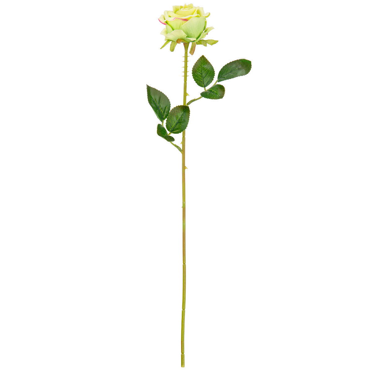 Gabriella Single Rose Green 53cm image 0
