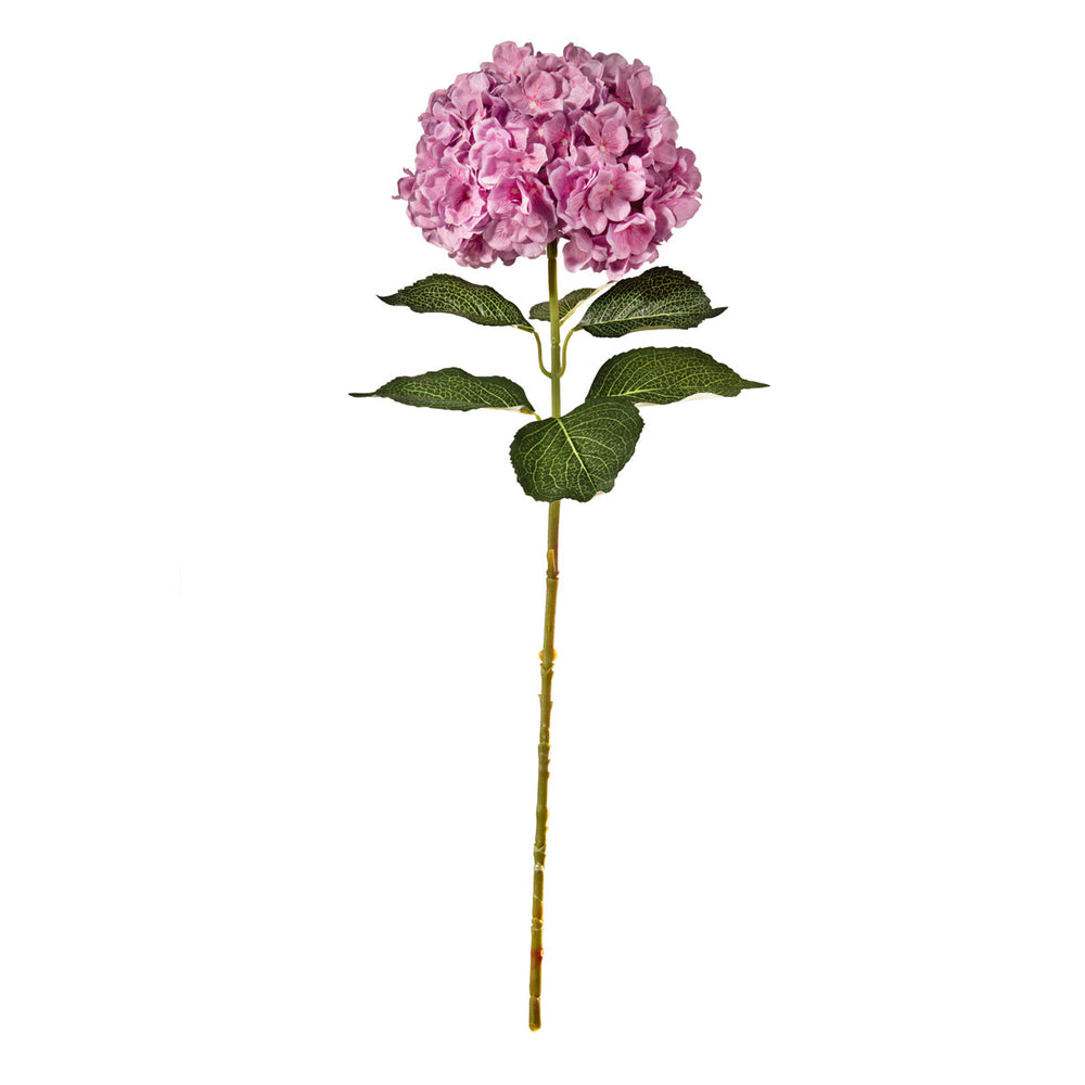 Large Head Hydrangea Two Tone Pink image 0