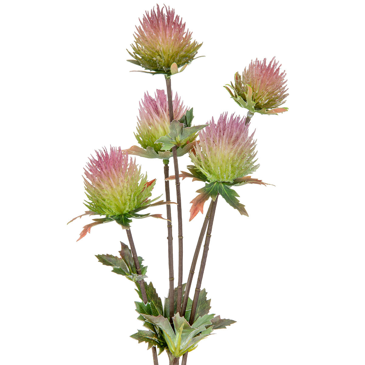 Thistle Spray x 5 Pink image 1