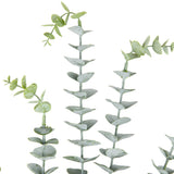 Eucalyptus Stem x 5 Dusted Green image 1