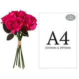 Eugenie Rose Bunch x 6 Dark Pink image 1