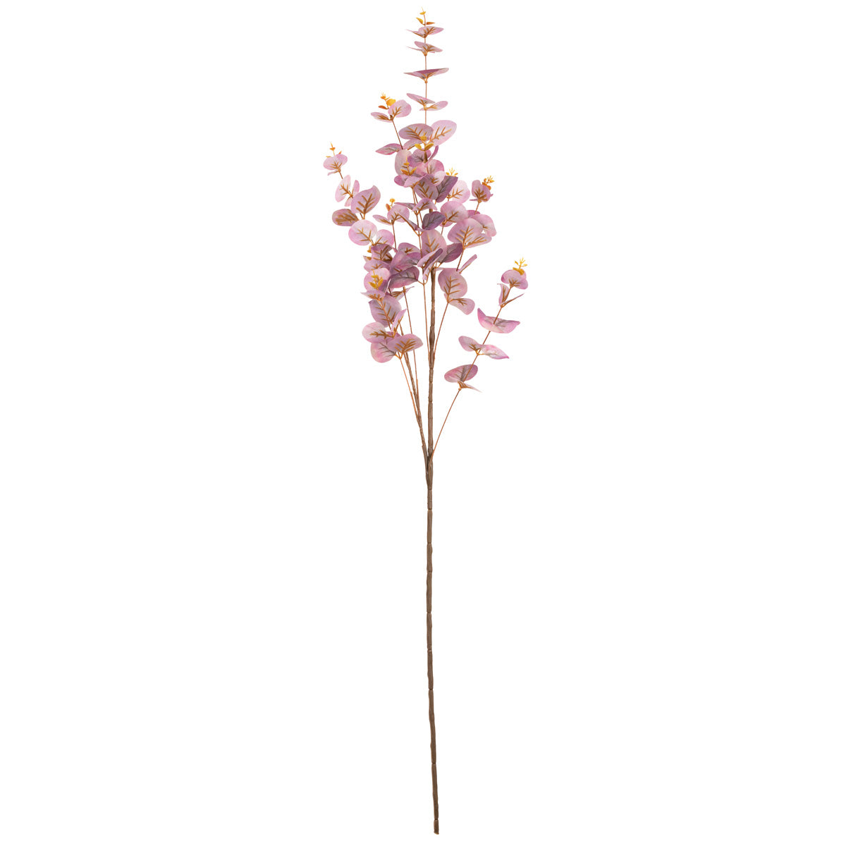 Eucalyptus Stem Mauve image 0