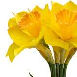 17" Daffodil Bouquet x 6 Heads Yellow image 2