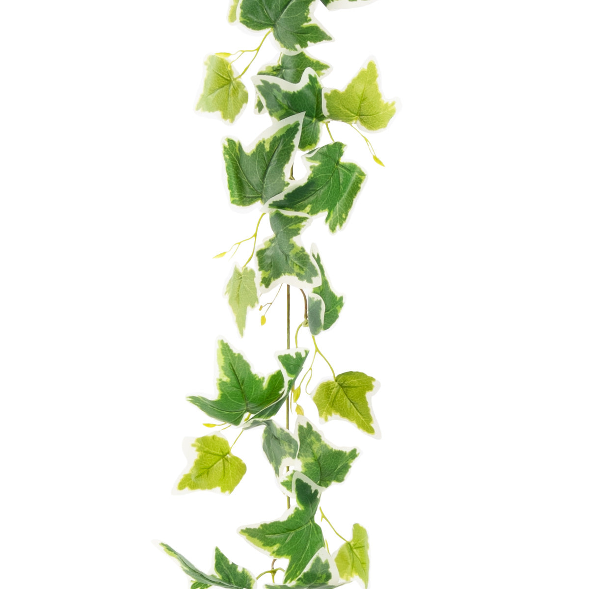 92" Ivy Garland Variegated x 88 Leaves image 0