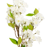 Cherry Blossom White image 1