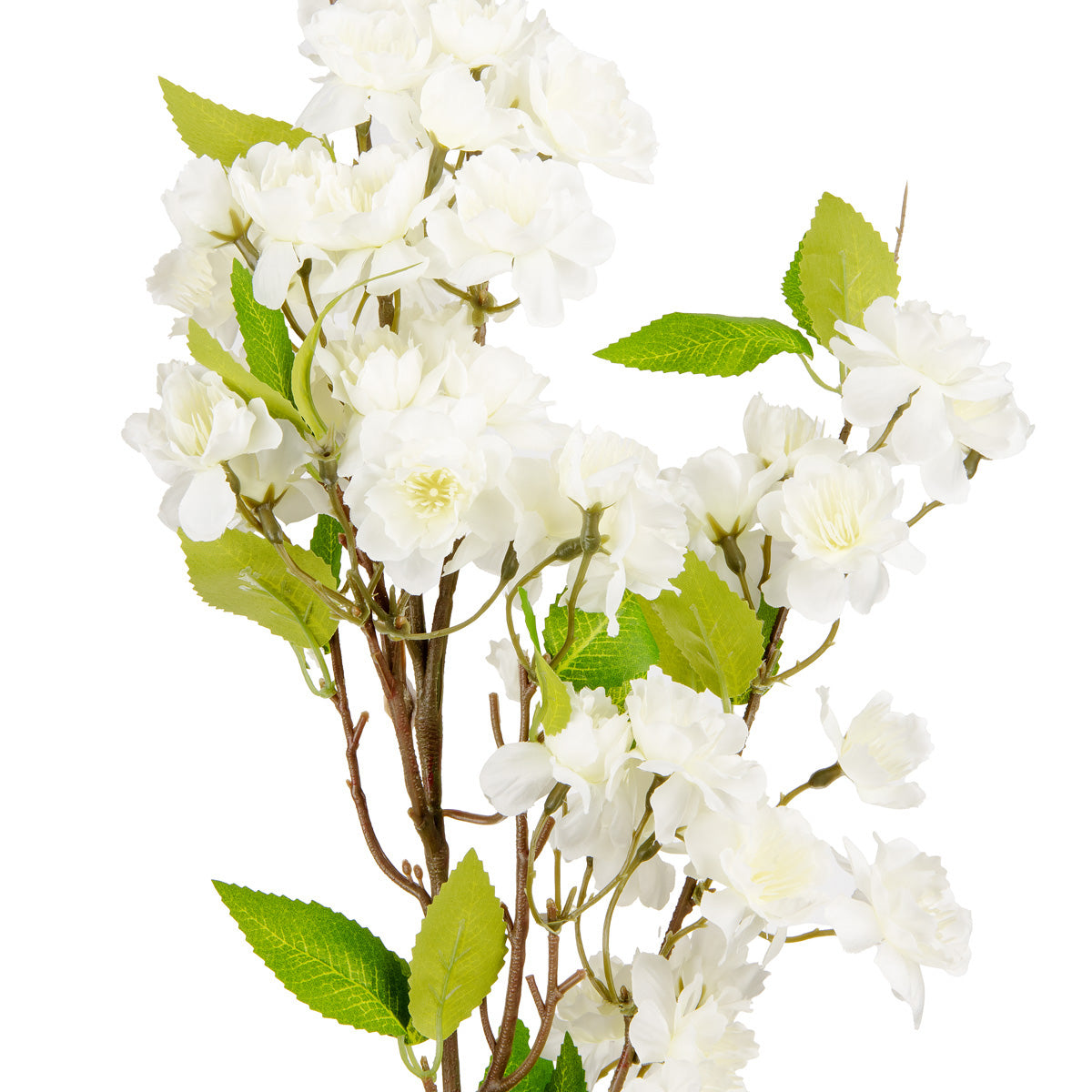 Cherry Blossom White image 1