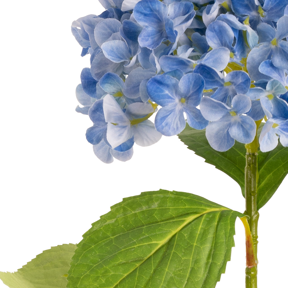 Hydrangea Stem Light Blue (19cm Head 66cm Stem) image 1