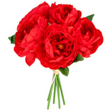 Princess Peony Bunch x 6 Red image 0