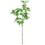 Clematis Leaf with Berries image 0