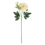 Peony Spray x 2 Cream image 0