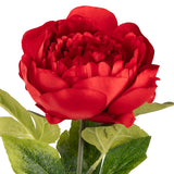 Aurora Peony x 1 Red image 2