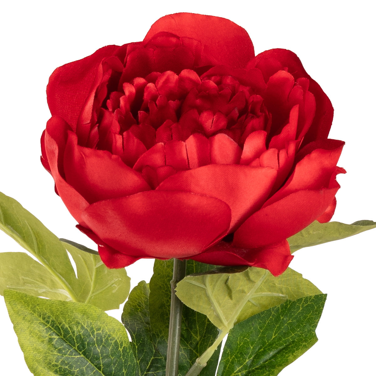 Aurora Peony x 1 Red image 2