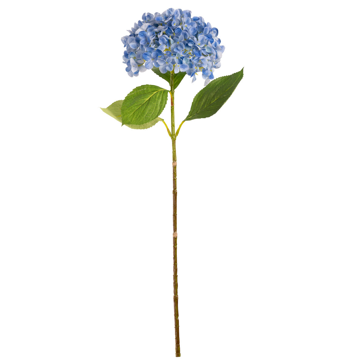 Hydrangea Stem Light Blue (19cm Head 66cm Stem) image 0