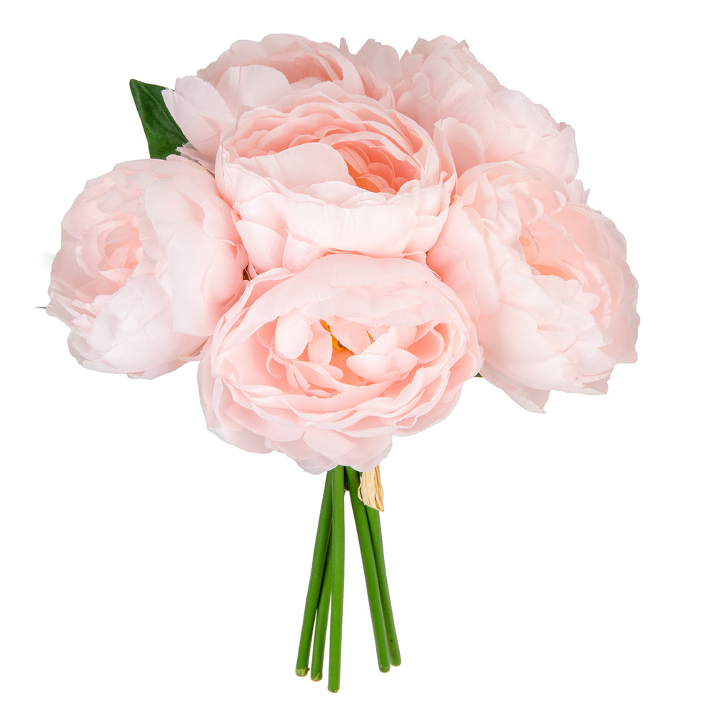 Princess Peony Bunch x 6 Pale Pink image 0