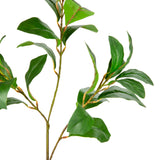 Magnolia Leaf Spray Green image 1