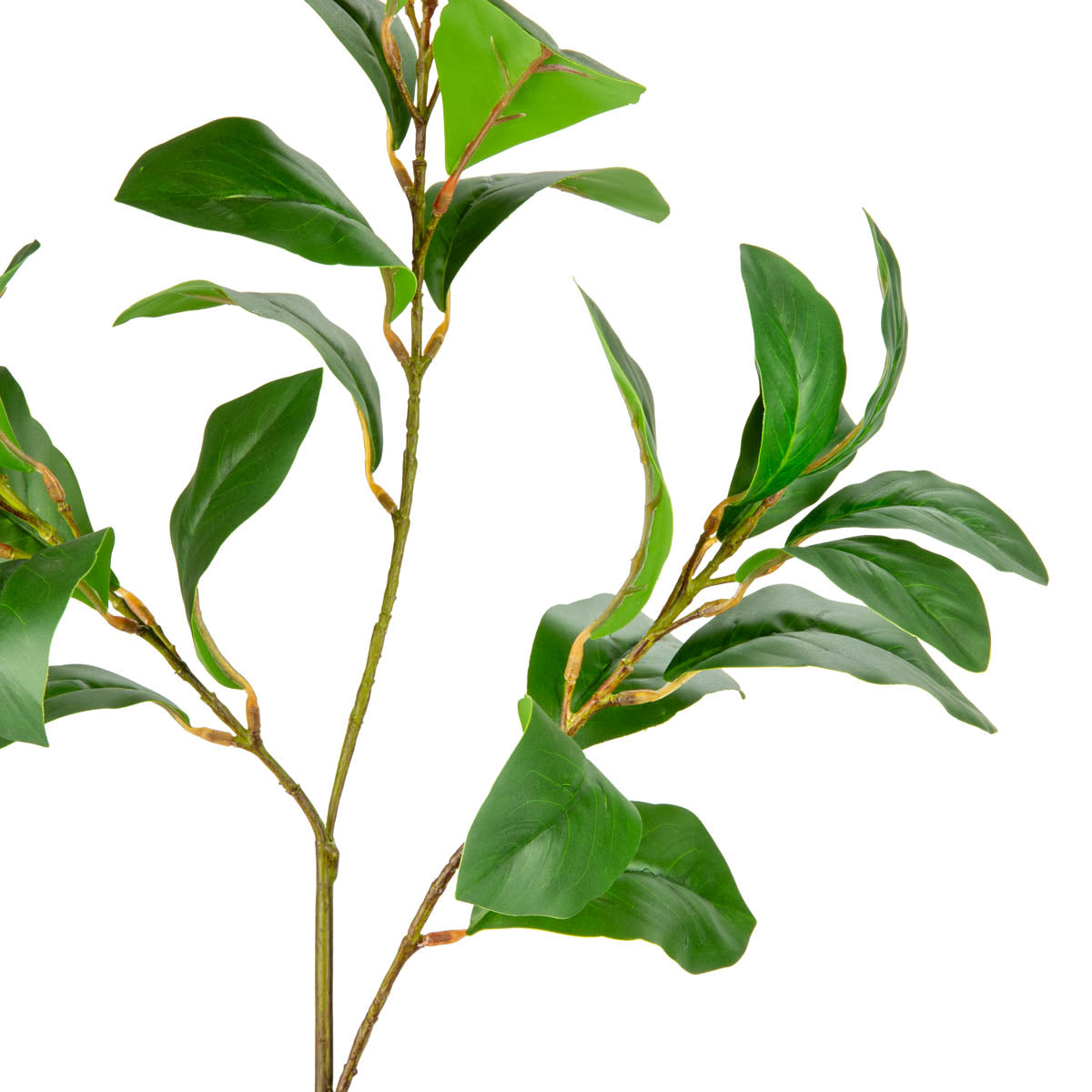 Magnolia Leaf Spray Green image 1