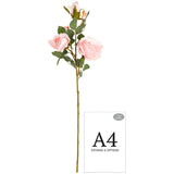 Large Charlotte Rose Spray x 3 Soft Pink image 1