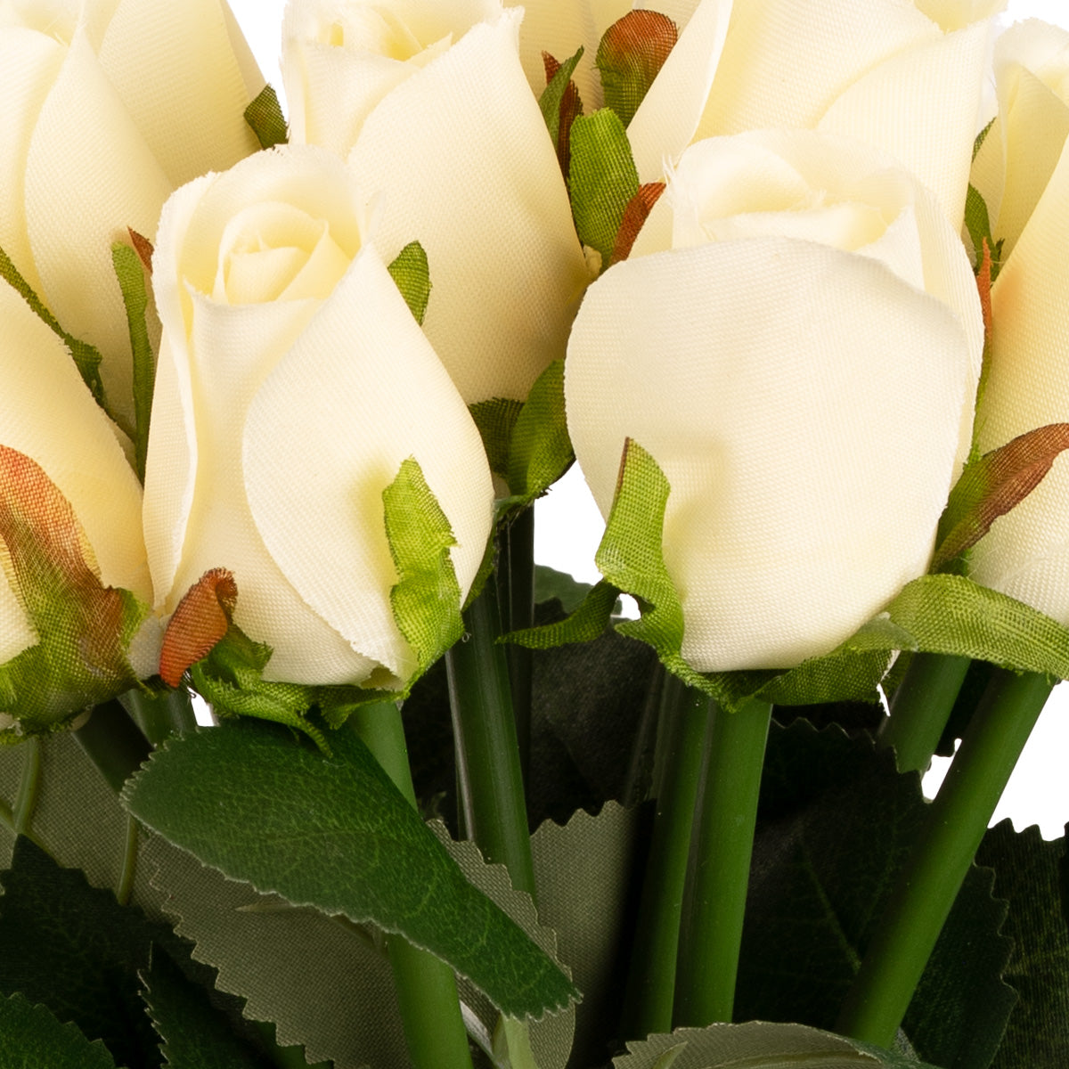 Beatrice Rose Bud Bunch x 15 Cream image 2