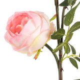 Elizabeth Garden Rose Spray x 3 Light Pink image 2