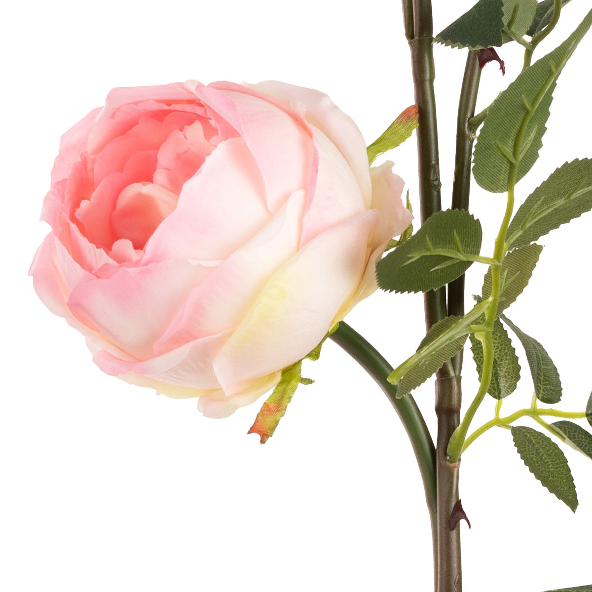 Elizabeth Garden Rose Spray x 3 Light Pink image 2