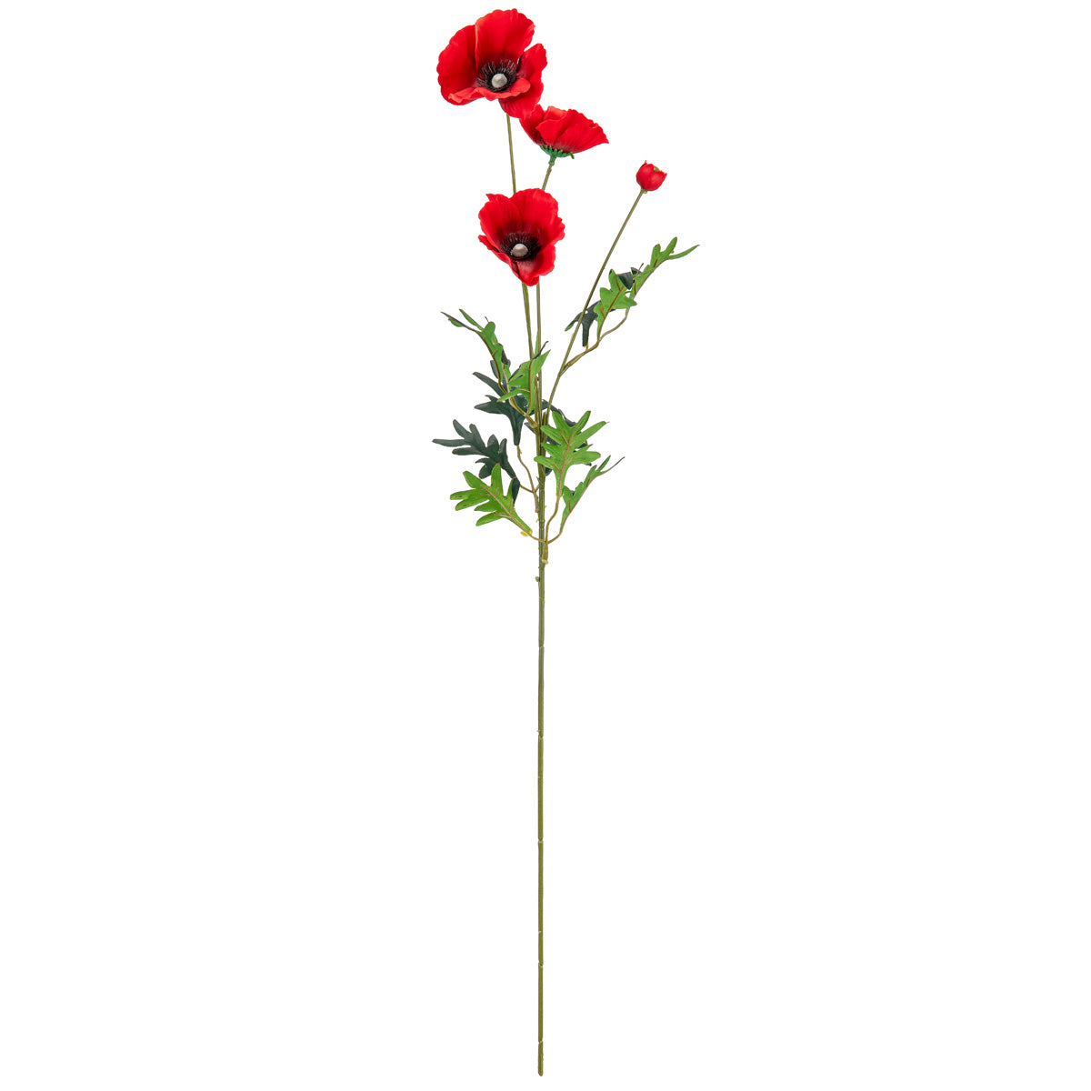Poppy Spray Red x 3 Heads 1 Bud image 0